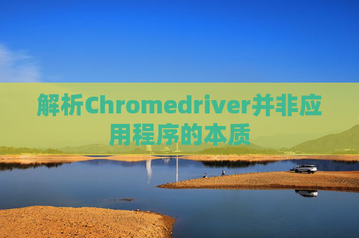 解析Chromedriver并非应用程序的本质
