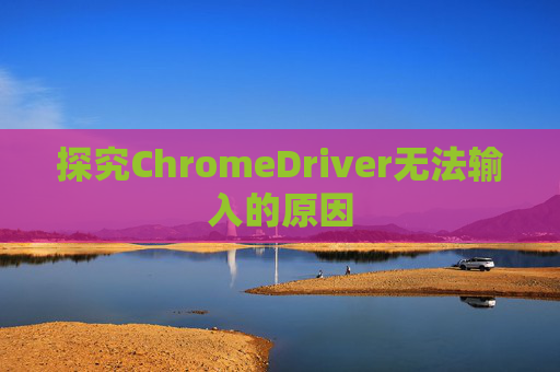 探究ChromeDriver无法输入的原因