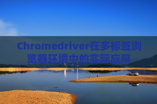 Chromedriver在多标签浏览器环境中的实际应用