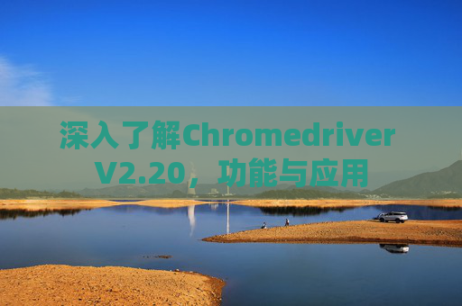 深入了解Chromedriver V2.20，功能与应用